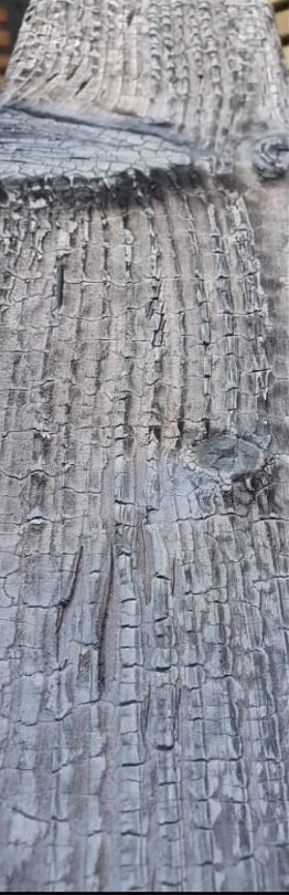 Close-up of charred timber with a cracked, crocodile-skin surface.