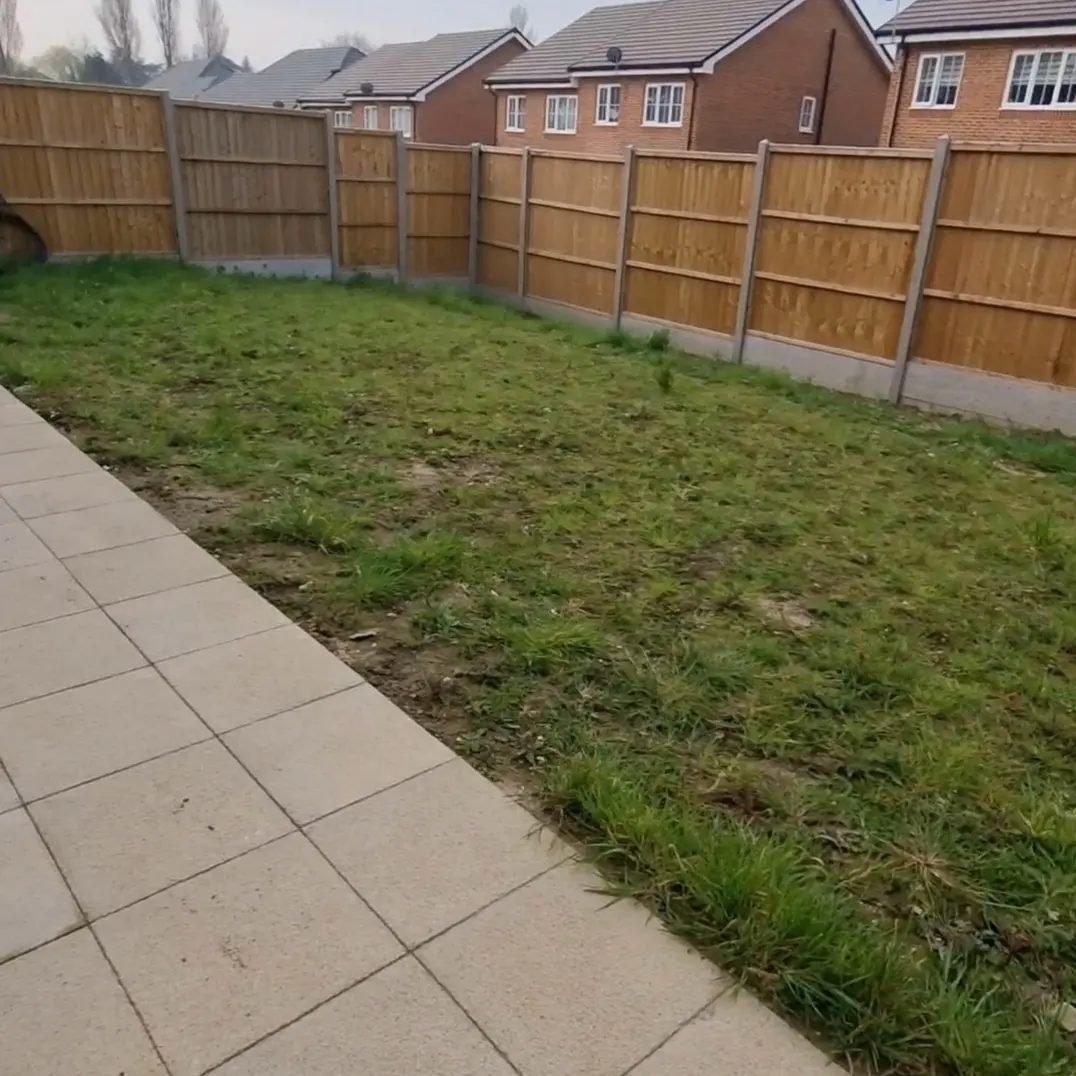 Before: a bare, patchy lawn behind a new-build house, edged with timber fence panels.